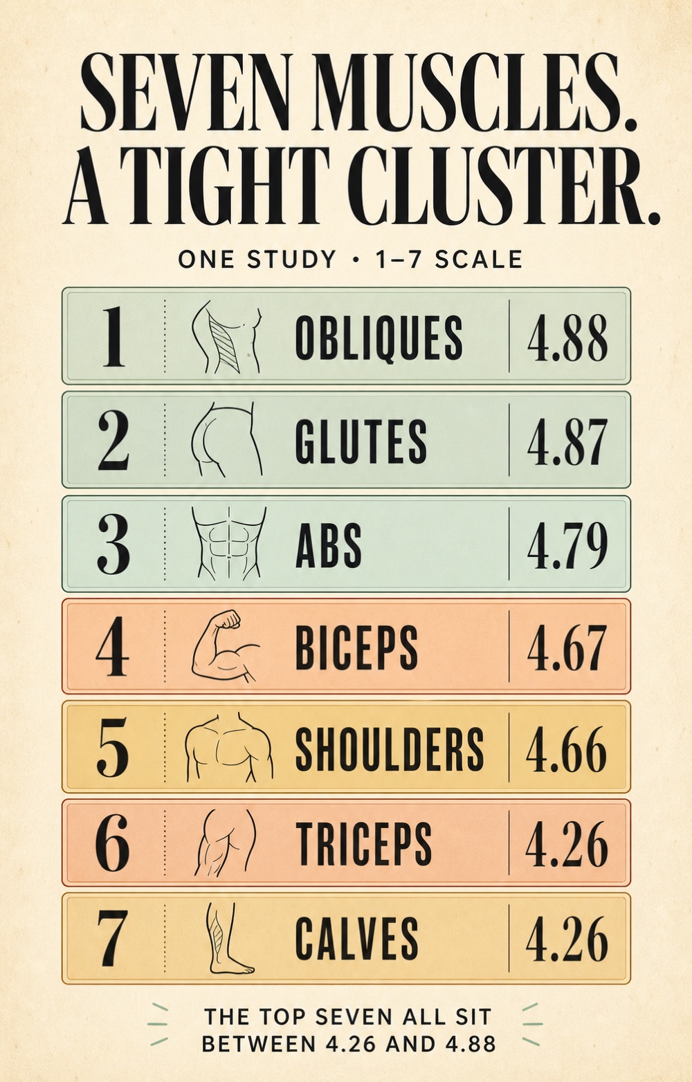 A ranked seven-row study graphic on a 1 to 7 scale: obliques 4.88, glutes 4.87, abs 4.79, biceps 4.67, shoulders 4.66, triceps 4.26, and calves 4.26. Each row has a small anatomical line icon. The article table gives all 14 results.